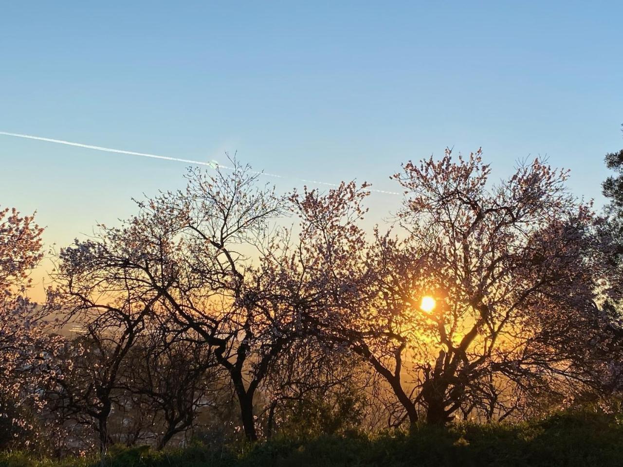 La Suite Sainte Claire Hyères Zewnętrze zdjęcie