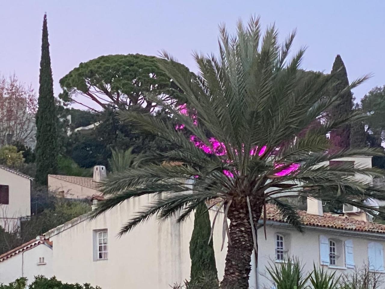 La Suite Sainte Claire Hyères Zewnętrze zdjęcie